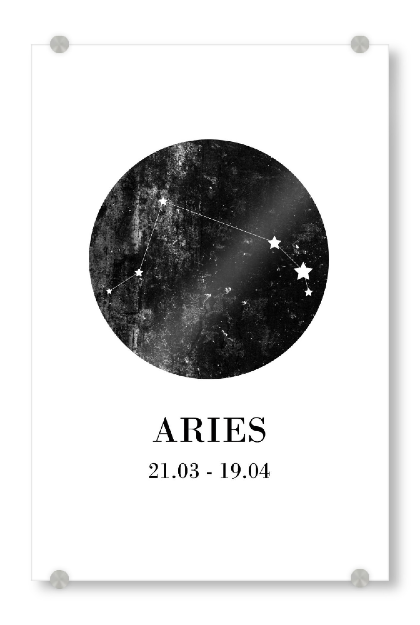 Acrylglasbild "Aries 3" artboxONE - Typografie,Natur,Für Kinder,Schwarzweiß