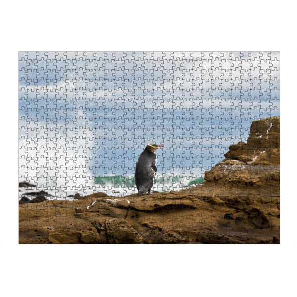 artboxONE Puzzle "Pinguin" artboxONE - Natur,Tiere - Neuseeland,Meer,Küste,Pinguin,Tier,Wasser,Animal - Bild Neuseeland