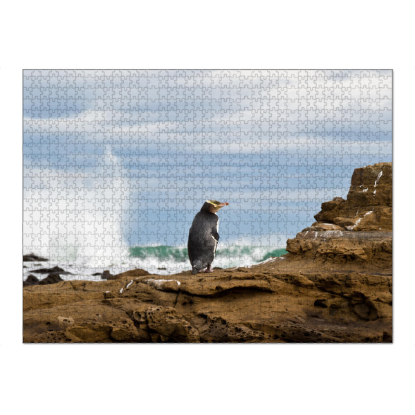 Puzzle Ravensburger "Pinguin" artboxONE - Natur,Tiere - Neuseeland,Meer,Küste,Pinguin,Tier,Wasser,Animal - Bild Neuseeland