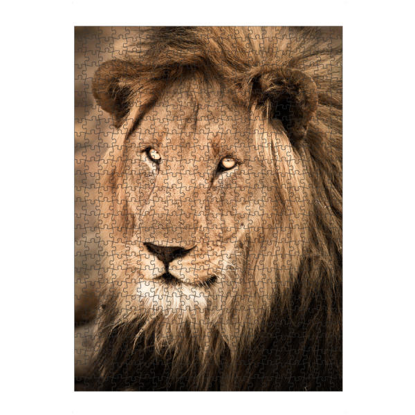 Puzzle Ravensburger "Hübscher Löwe" artboxONE - Natur,Reise,Tiere,Reise / Afrika - Löwe,Lion,Afrika,Safari,Wildlife,Portrait - Bild Löwe