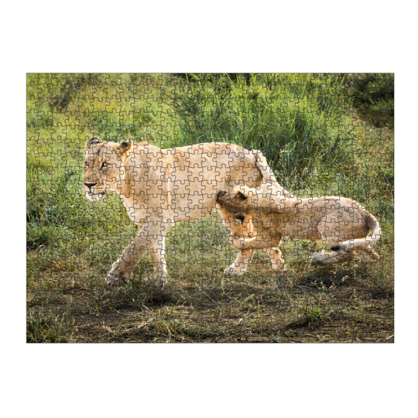 artboxONE Puzzle "Mama warte!" artboxONE - Natur,Reise,Tiere,Reise / Afrika - Löwe,Lion,Baby,Cub,Löwenjunges,Lioness,Löwin,Afrika,Wildlife,Safari