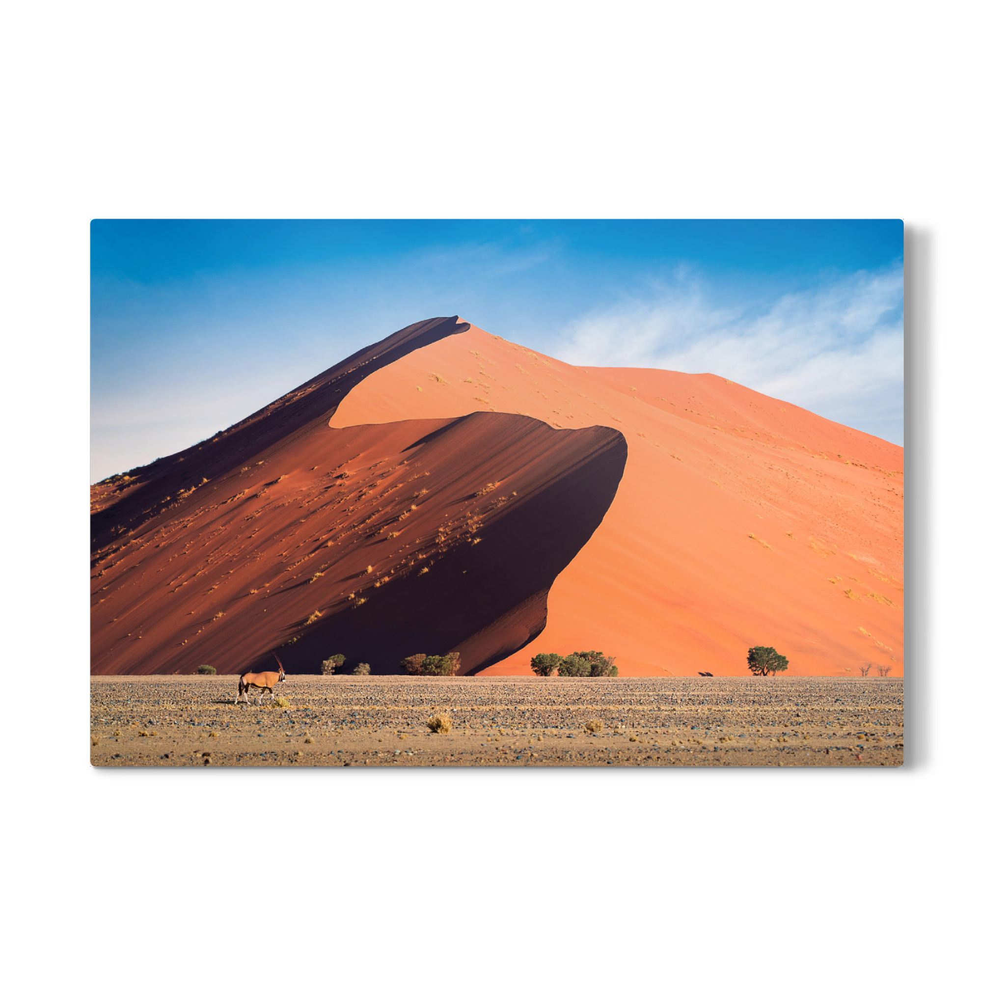 Galerie-Print "Oryx & Dune" 75x50 cm artboxONE