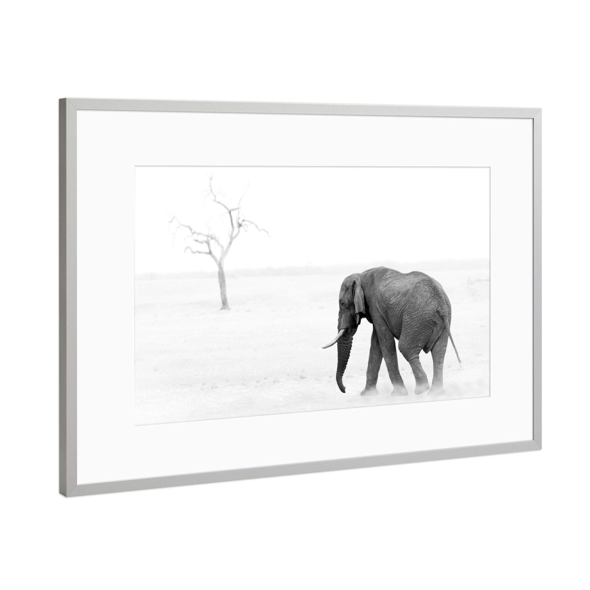 Poster mit Rahmen Silber "Elefant b/w" artboxONE - Natur,Reise,Tiere,Schwarzweiß,Reise / Afrika - Elefant,Baum,Schwarz,Weiß,Bw,Afrika,Safari,Wildlife