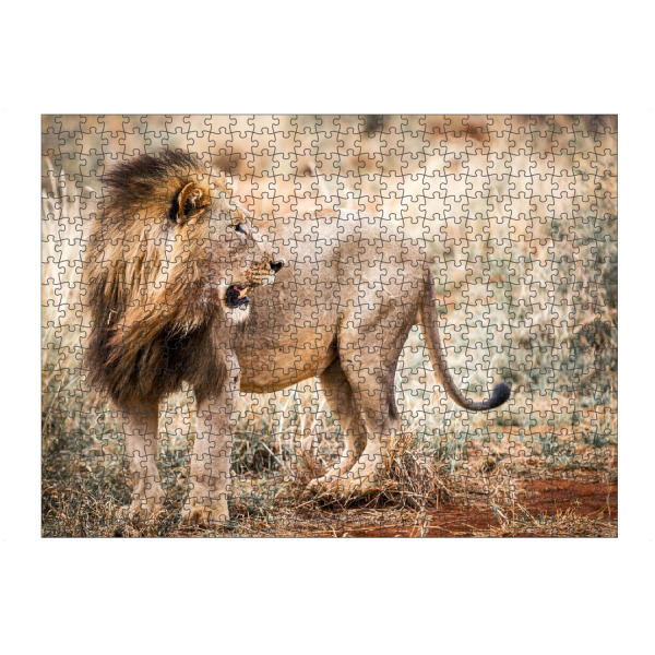 artboxONE Puzzle "Lion Portrait 2" artboxONE - Natur,Reise,Tiere,Reise / Afrika - Löwe,Portrait,Safari,Wildlife,Afrika - Bild Löwe