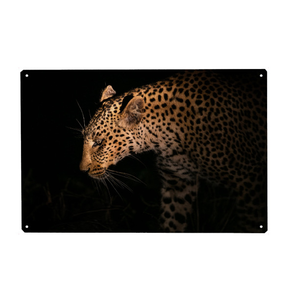 Holzbild "Stalking Leopard" artboxONE - Natur,Reise,Tiere,Reise / Afrika - Leopard,Jagd,Schleichen,Nacht,Profil,Afrika,Safari,Wildlife
