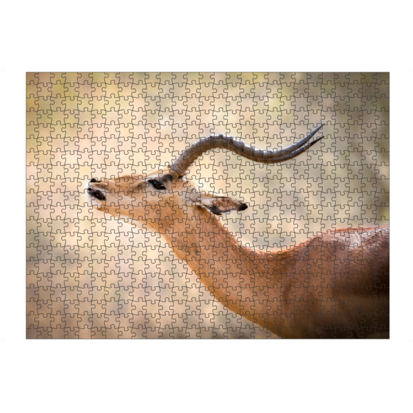 artboxONE Puzzle "Impala" artboxONE - Natur,Reise,Tiere,Reise / Afrika - Antilope,Impala,Safari,Tierwelt,Afrika - Bild Antilope