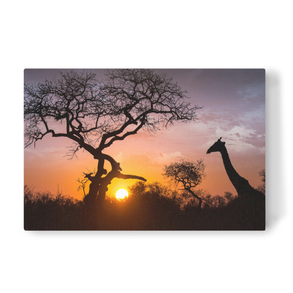 Leinwandbild "Giraffe Silhouette" artboxONE - Natur,Reise,Tiere,Reise / Afrika