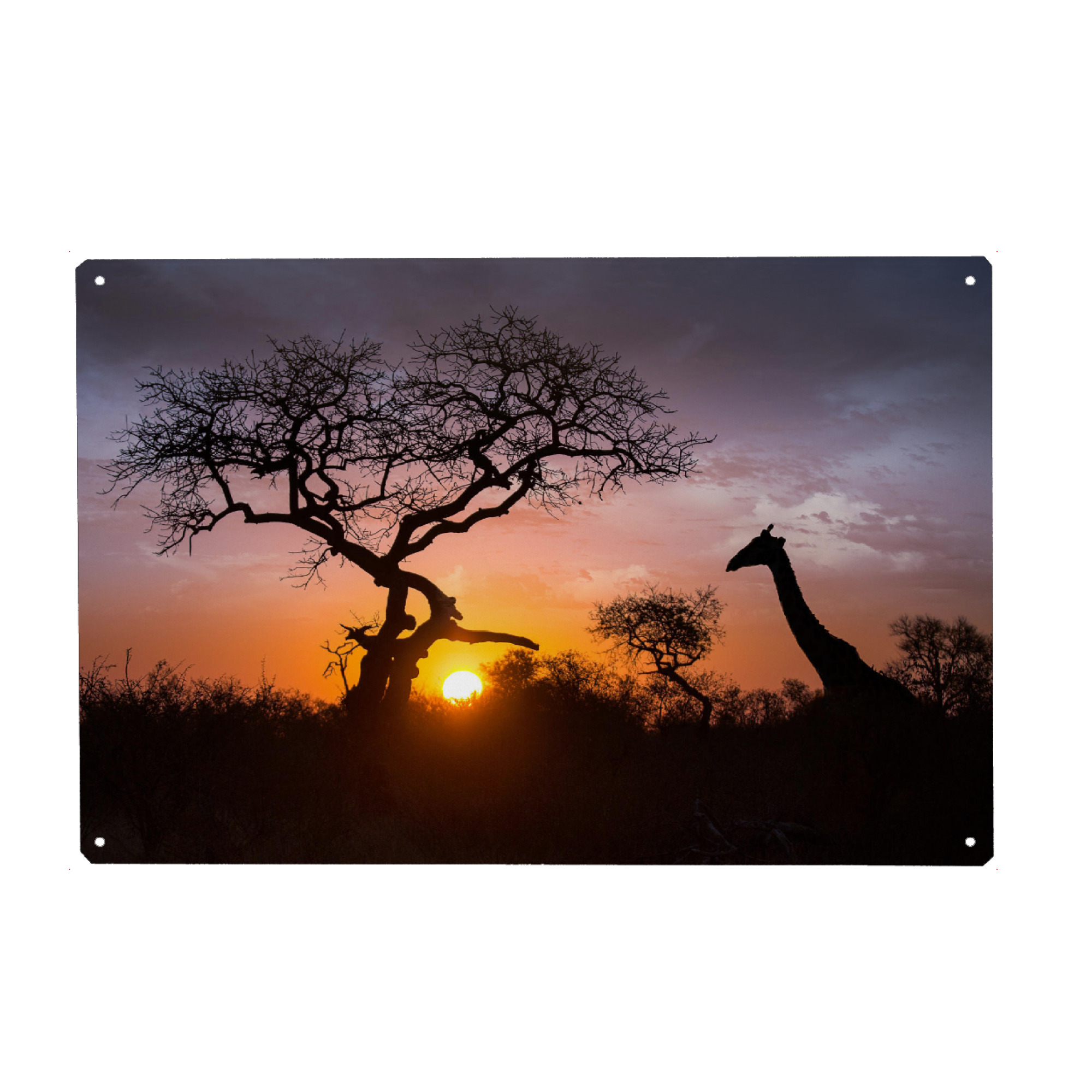 Metall Poster "Giraffe Silhouette" artboxONE - Natur,Reise,Tiere,Reise / Afrika