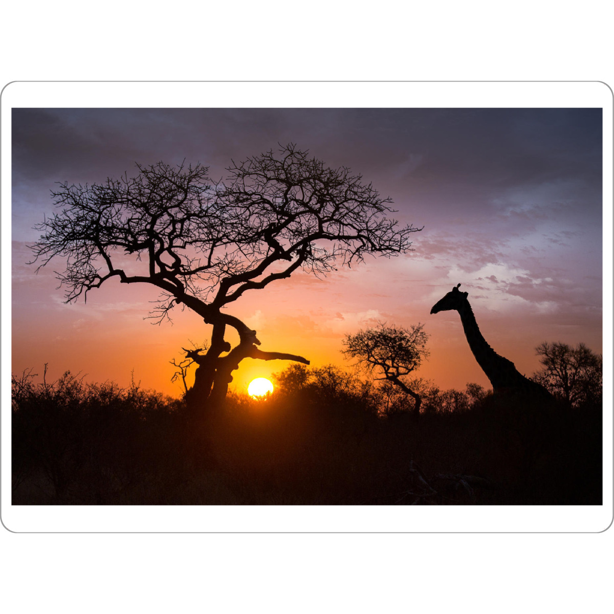 Tischset "Giraffe Silhouette" artboxONE - Natur,Reise,Tiere,Reise / Afrika