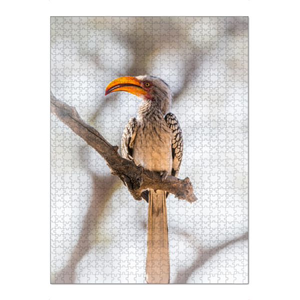 Puzzle Ravensburger "Yellow billed Hornbill" artboxONE - Natur,Reise,Tiere,Reise / Afrika - Vogel,Hornbill,Adler,Geier,Afrika,Safari - Bild Vogel