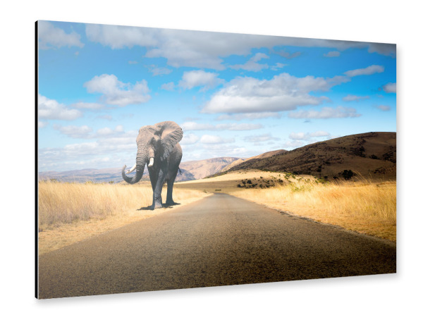 Alu-Dibond "Elefant Roadtrip" 30x20 cm artboxONE