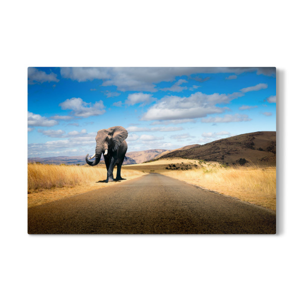 Galerie-Print "Elefant Roadtrip" 30x20 cm artboxONE