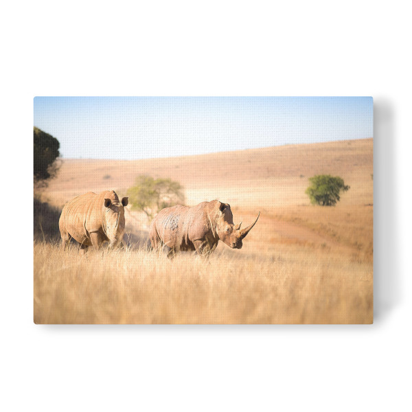 Leinwandbild "Rhino" artboxONE - Natur,Tiere,Reise / Afrika - Nashorn,Nashorn,Afrika,Safari,Tierwelt