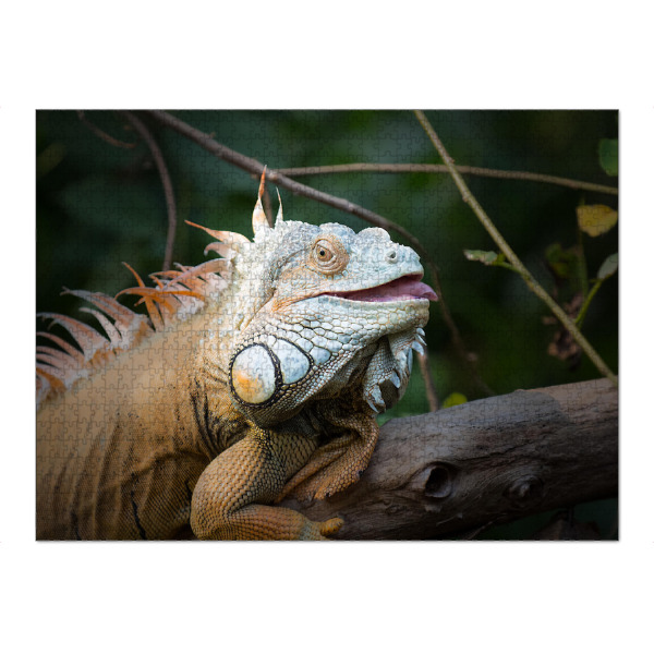 Puzzle Ravensburger "Chameleon" artboxONE - Natur,Tiere - Chameleon,Tiere,Exotisch,Afrika,Asien,Tier,Afrika,Tierwelt - Bild Chameleon