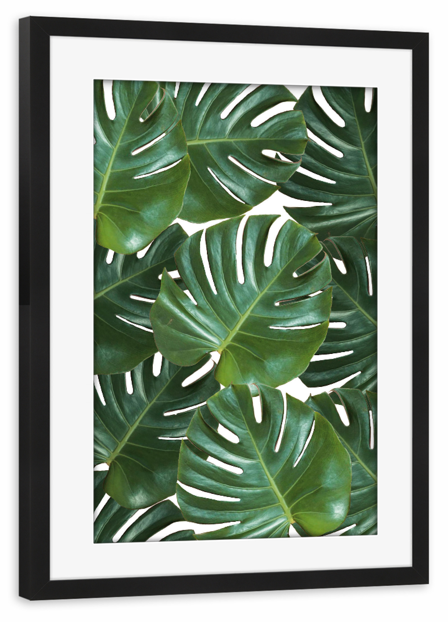 Poster mit Rahmen schwarz "Monstera #2" artboxONE - Floral,Geometrie - Monstera,Blätter,Leaves,Pflanze,Plant,Nature,Summer,Sommer