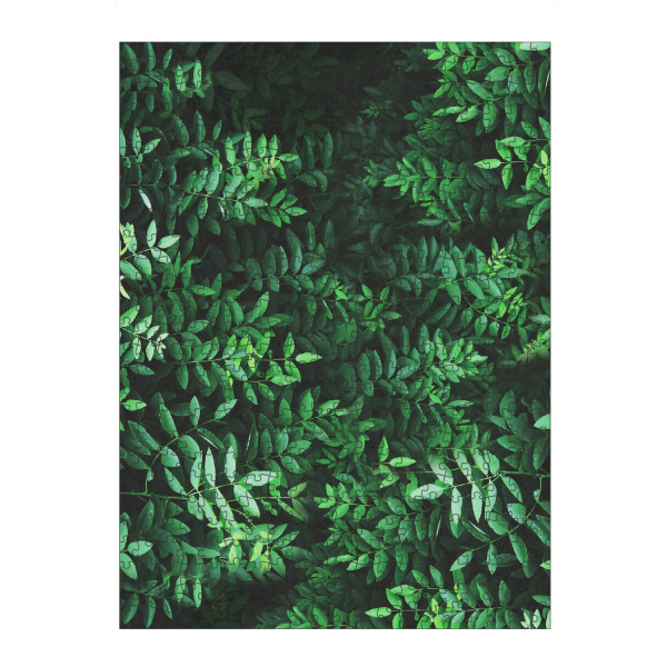 Puzzle Ravensburger "Tropical Forest 2" artboxONE - Natur,Reise,Festivals