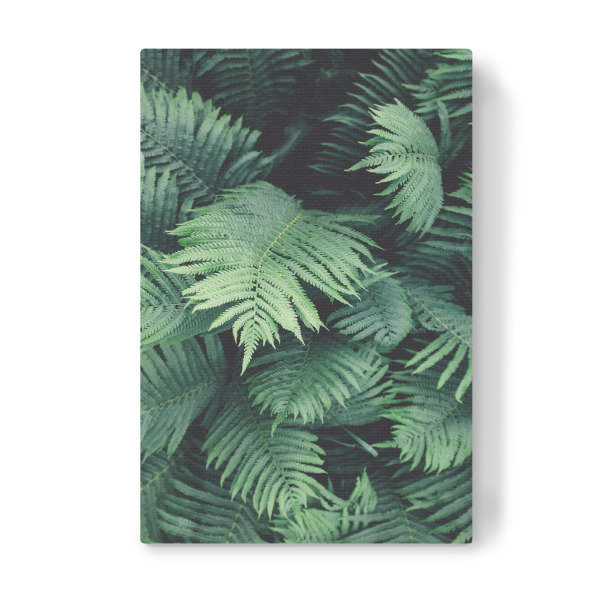 Leinwandbild "Green Tropical Jungle" artboxONE - Natur,Reise,Festivals
