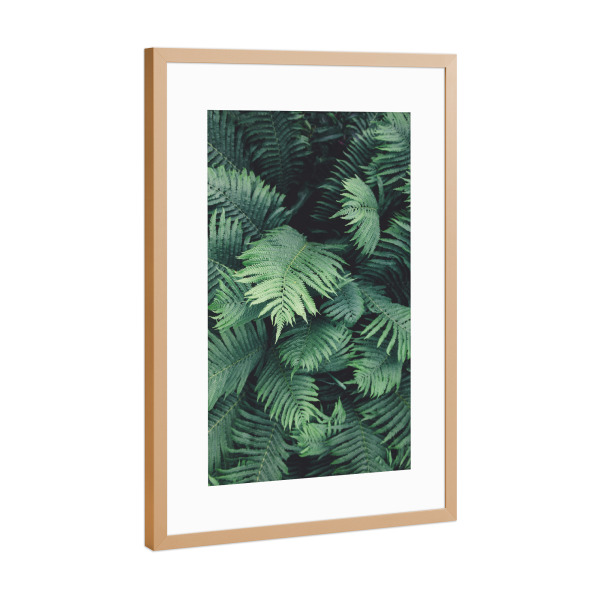 Poster mit Rahmen Kupfer "Green Tropical Jungle" artboxONE - Natur,Reise,Festivals