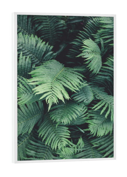Poster mit weißem Rahmen "Green Tropical Jungle" artboxONE - Natur,Reise,Festivals