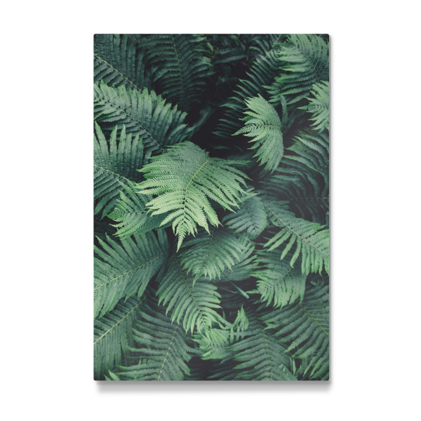 Galerie-Print "Green Tropical Jungle" 30x20 cm artboxONE