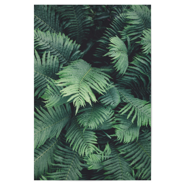 Poster "Green Tropical Jungle" artboxONE - Natur,Reise,Festivals