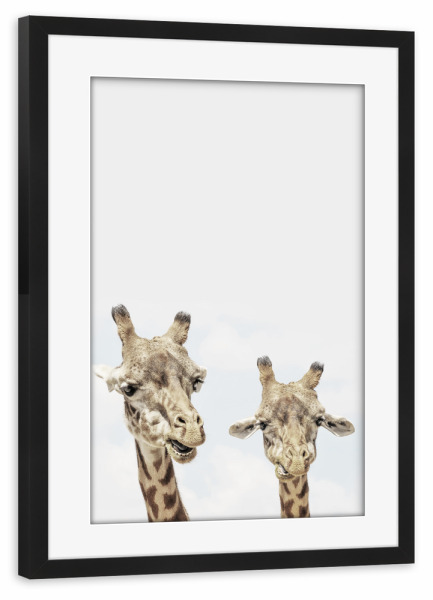 Poster mit Rahmen schwarz "Giraffe Photo African Animal Photography" artboxONE - Natur,Reise / Afrika