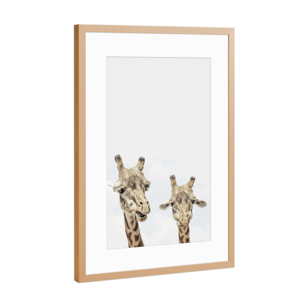Poster mit Rahmen Kupfer "Giraffe Photo African Animal Photography" artboxONE - Natur,Reise / Afrika