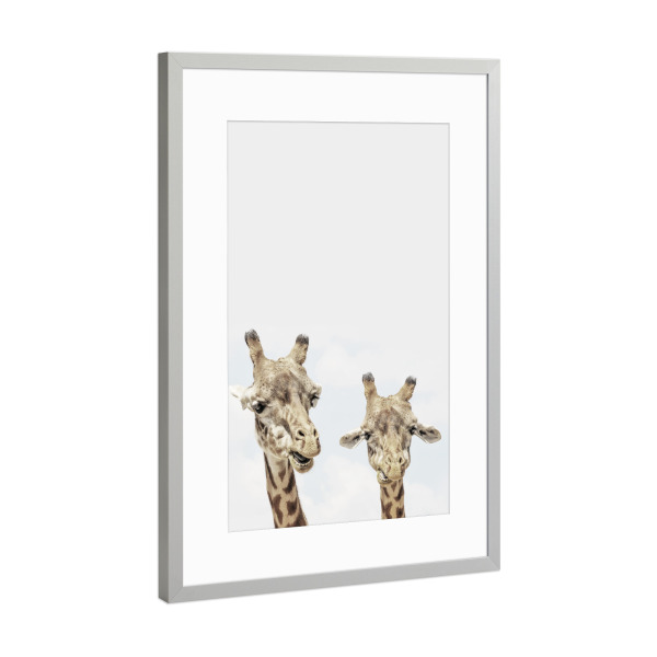 Poster mit Rahmen Silber "Giraffe Photo African Animal Photography" artboxONE - Natur,Reise / Afrika