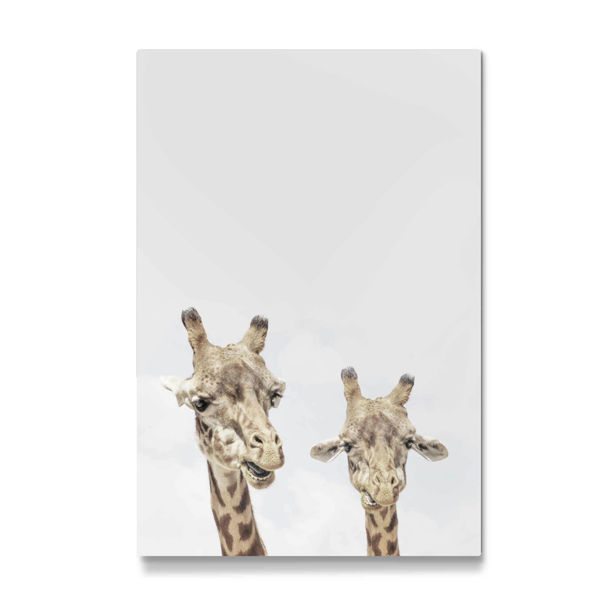 Galerie-Print "Giraffe Photo African Animal Photography" 75x50 cm artboxONE