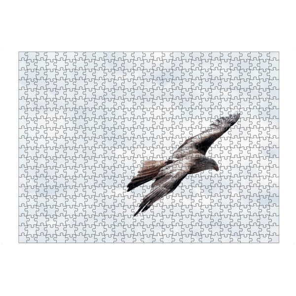 artboxONE Puzzle "Flying Eagle" artboxONE - Natur,Tiere,Schwarzweiß