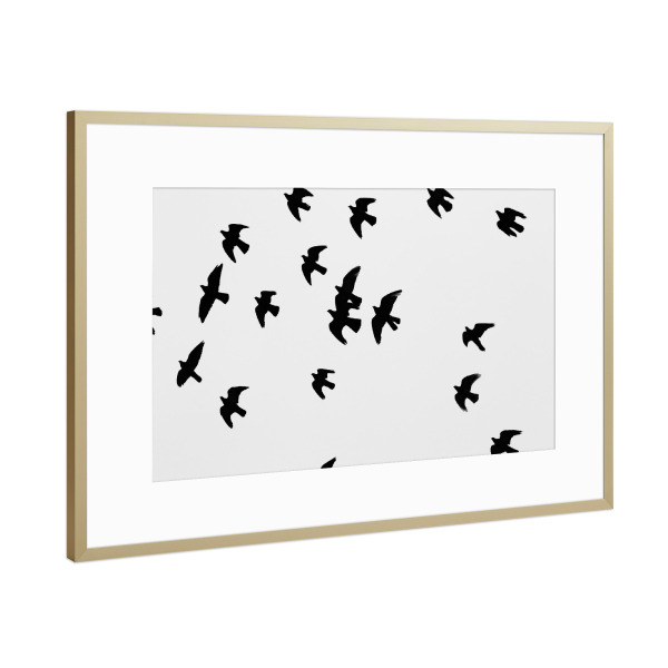 Poster mit Rahmen Gold "Black and White Birds" artboxONE - Natur,Tiere,Schwarzweiß
