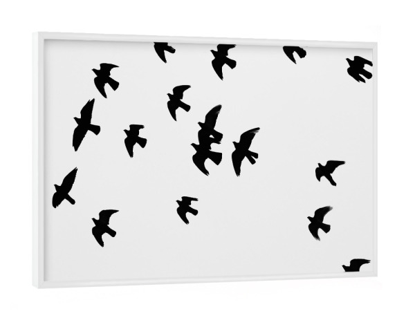 Poster mit weißem Rahmen "Black and White Birds" artboxONE - Natur,Tiere,Schwarzweiß