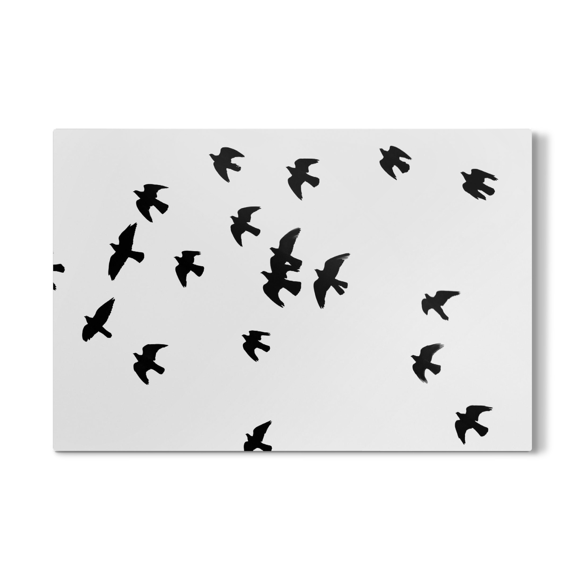 Galerie-Print "Black and White Birds" 30x20 cm artboxONE