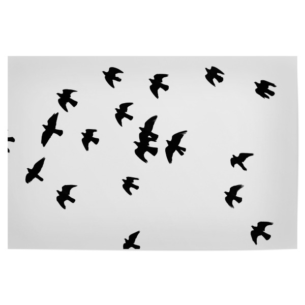 Poster 30x20 cm "Black and White Birds" artboxONE - Natur,Tiere,Schwarzweiß