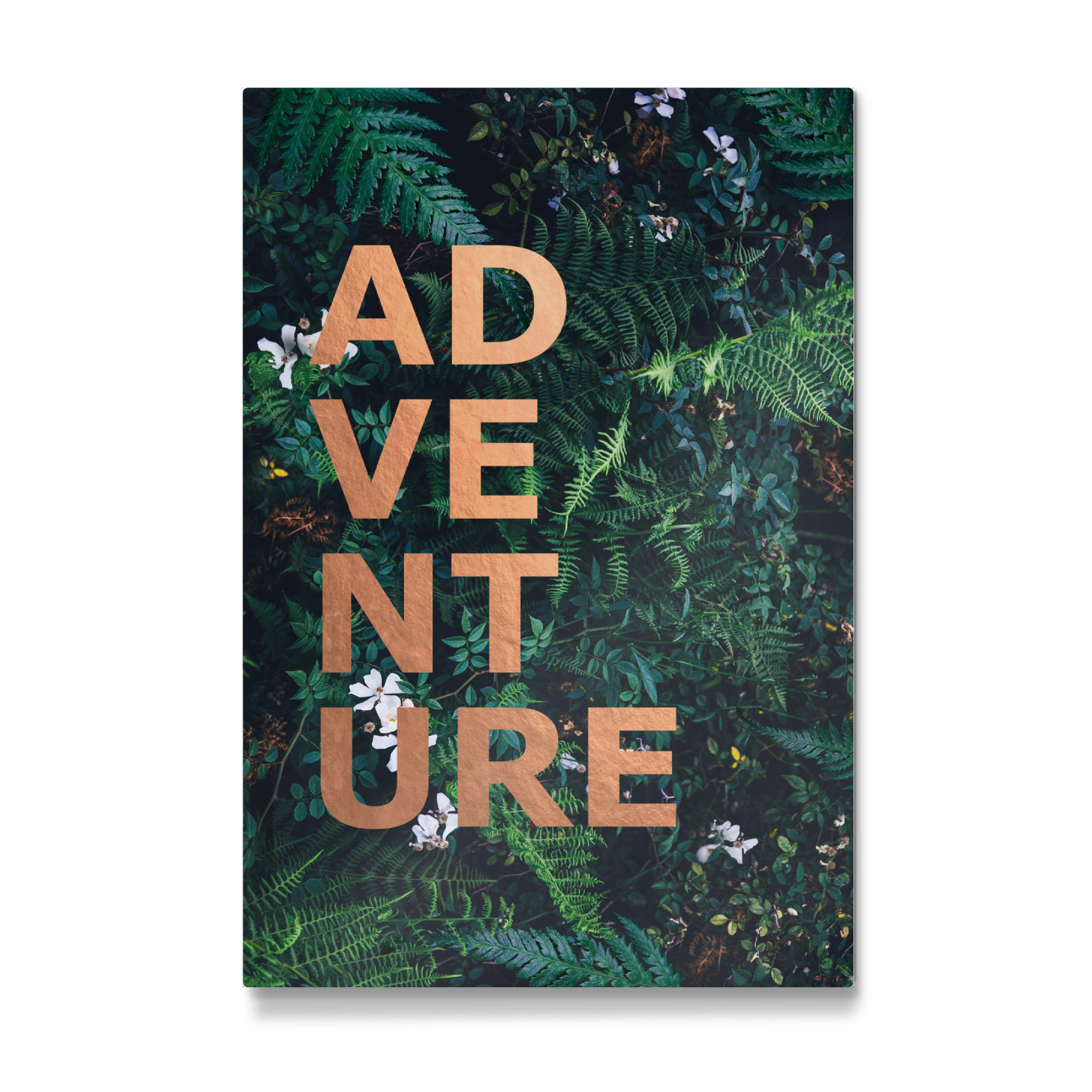 Galerie-Print "Adventure Fern" 30x20 cm artboxONE