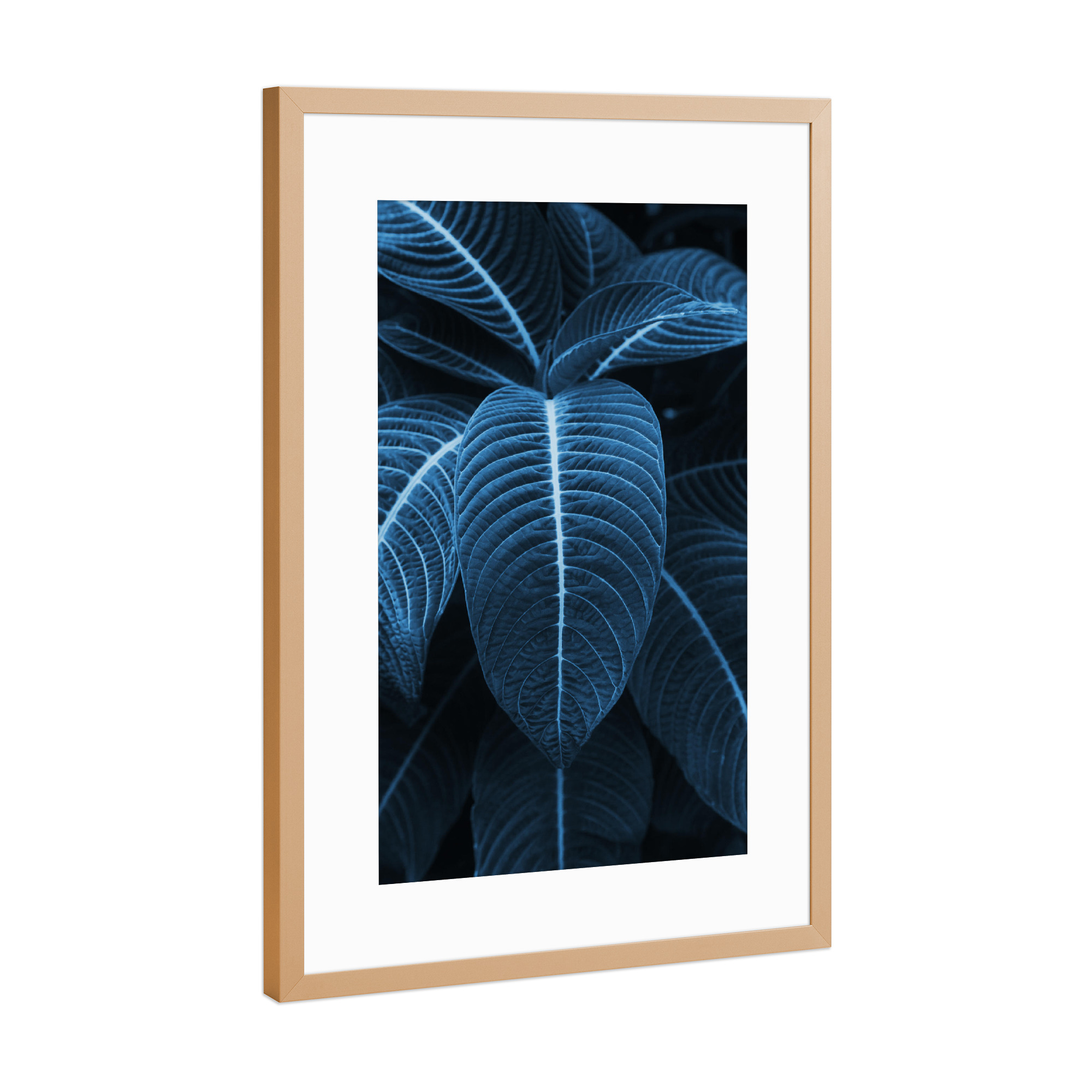 Poster mit Rahmen Kupfer "Leaf me alone 01" artboxONE - Natur,Floral,Festivals