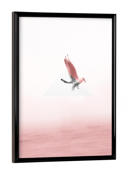 Poster mit schwarzem Rahmen "Möve" artboxONE - Natur,Reise,Tiere,Geometrie - Möwe,Meer,Nebel,Fliegen,Flügel