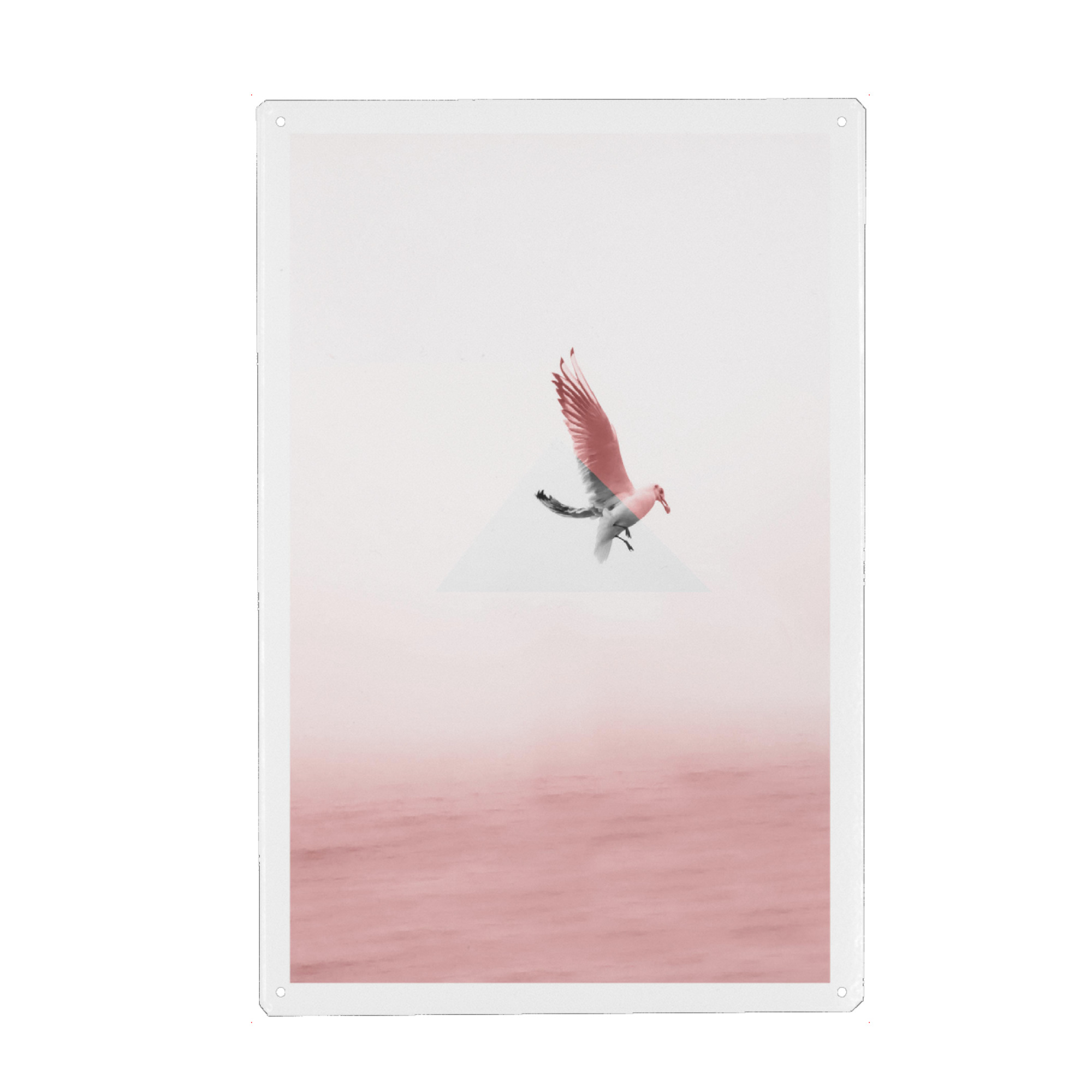 Metall Poster "Möve" artboxONE - Natur,Reise,Tiere,Geometrie - Möwe,Meer,Nebel,Fliegen,Flügel - Blechschild