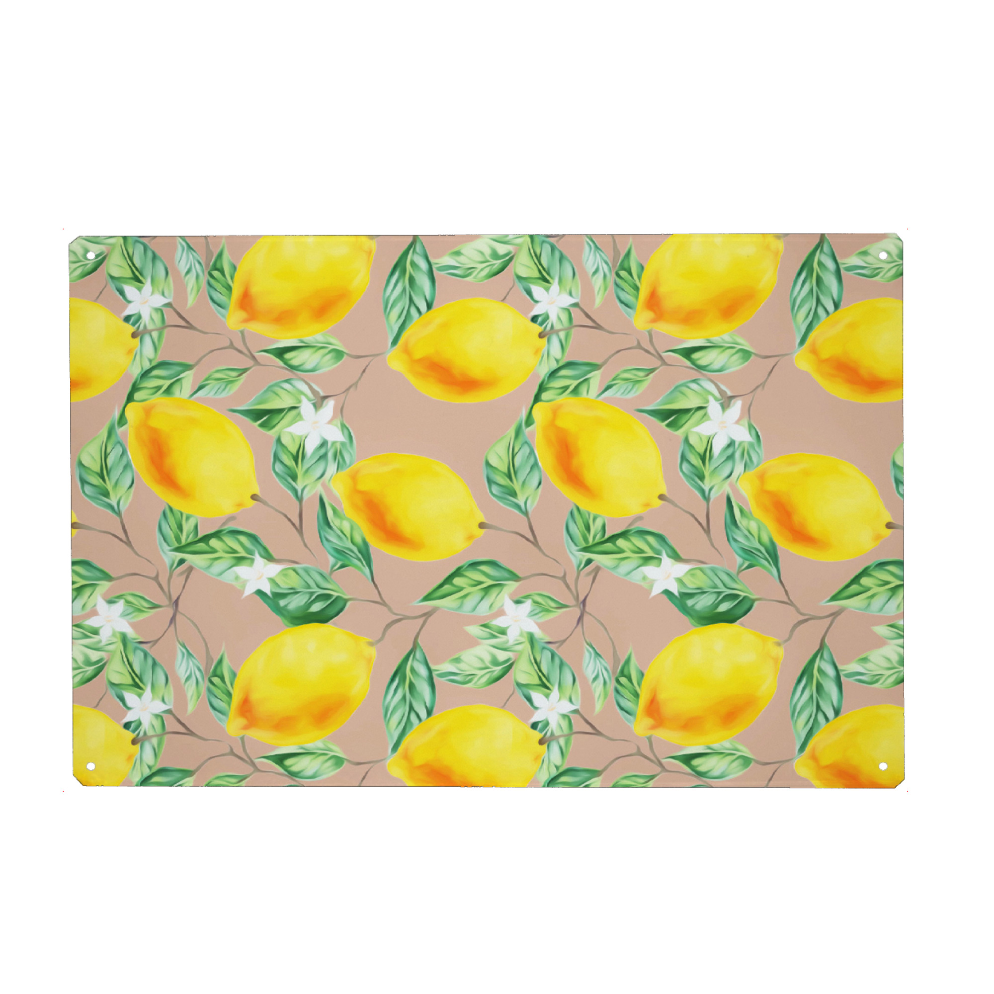 Metall Poster "Lemon Fresh" artboxONE - Natur,Essen & Trinken / Obst & Gemüse,Festivals
