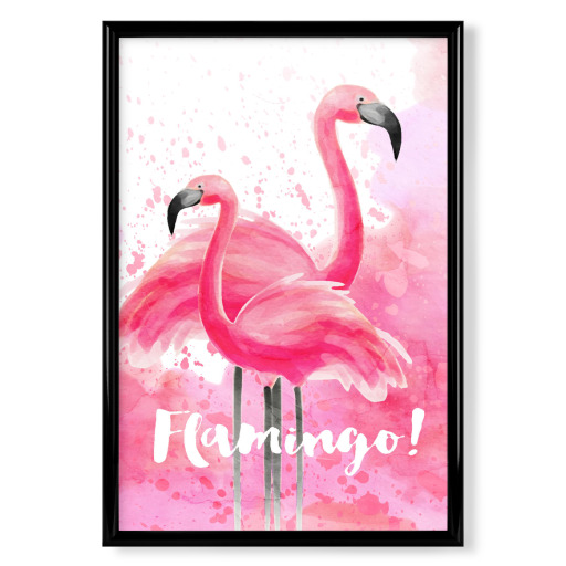 Flamingos