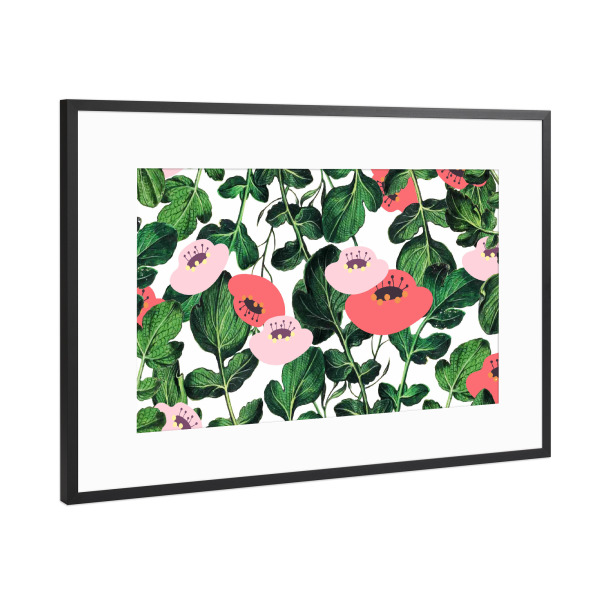 Poster mit Rahmen Schwarz (Metallic) "Parsnip and Poppies" artboxONE - Natur,Floral,Festivals