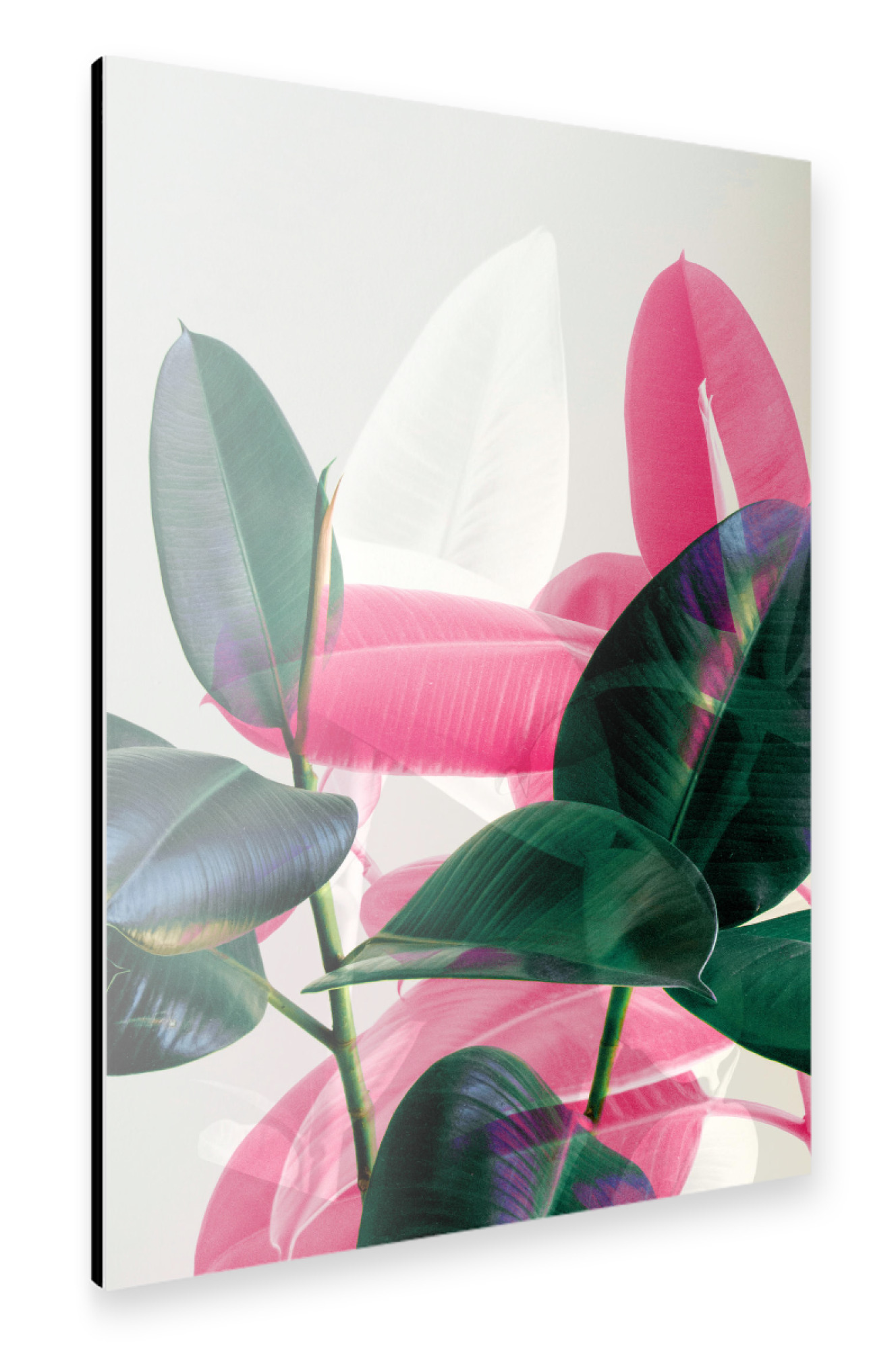 Alu-Dibond "Greenery Mix" 75x50 cm artboxONE