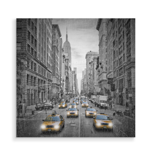 NEW YORK CITY 5th Avenue Traffic 2
