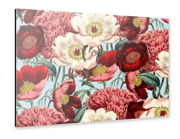 Alu-Dibond "Velvet" 30x20 cm artboxONE