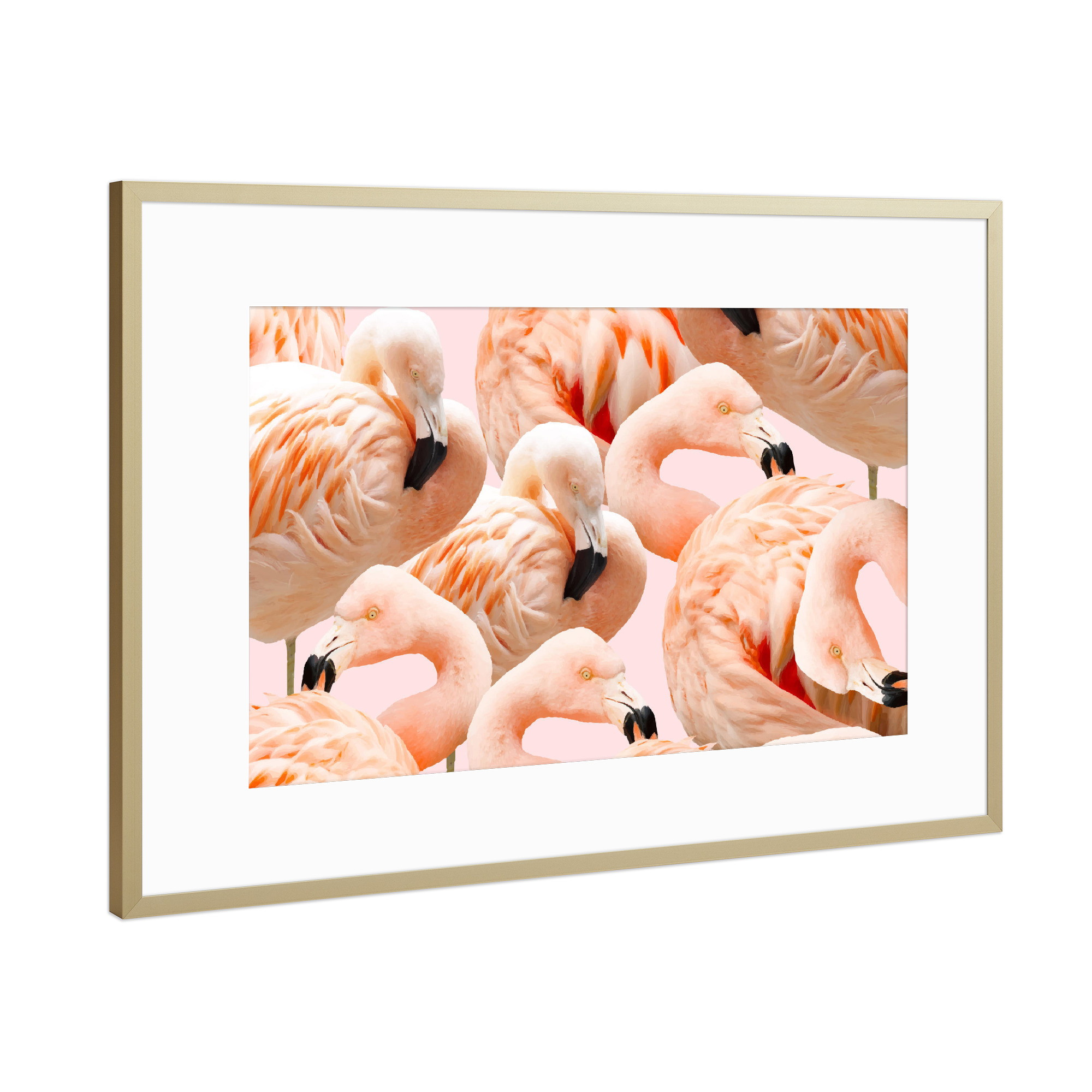 Poster mit Rahmen Gold "Flamingo Blush" artboxONE - Tiere,Festivals