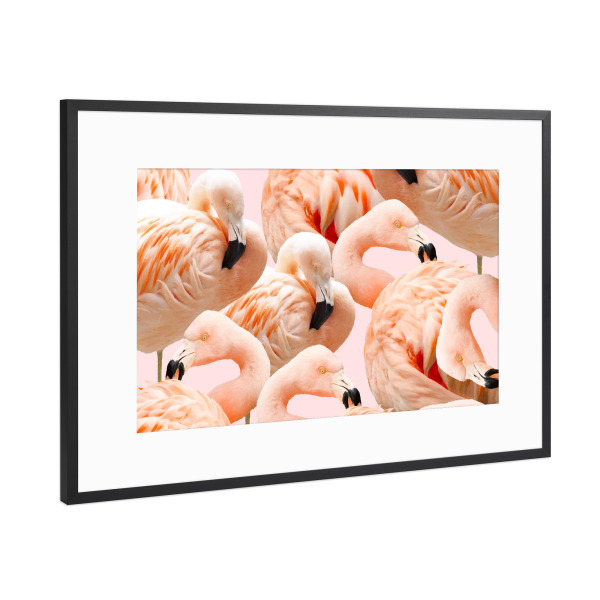 Poster mit Rahmen Schwarz (Metallic) "Flamingo Blush" artboxONE - Tiere,Festivals