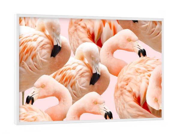 Poster mit weißem Rahmen "Flamingo Blush" artboxONE - Tiere,Festivals