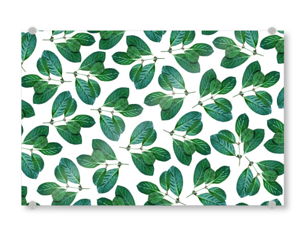 Acrylglasbild "Lemon Leaf" artboxONE - Natur,Floral,Festivals