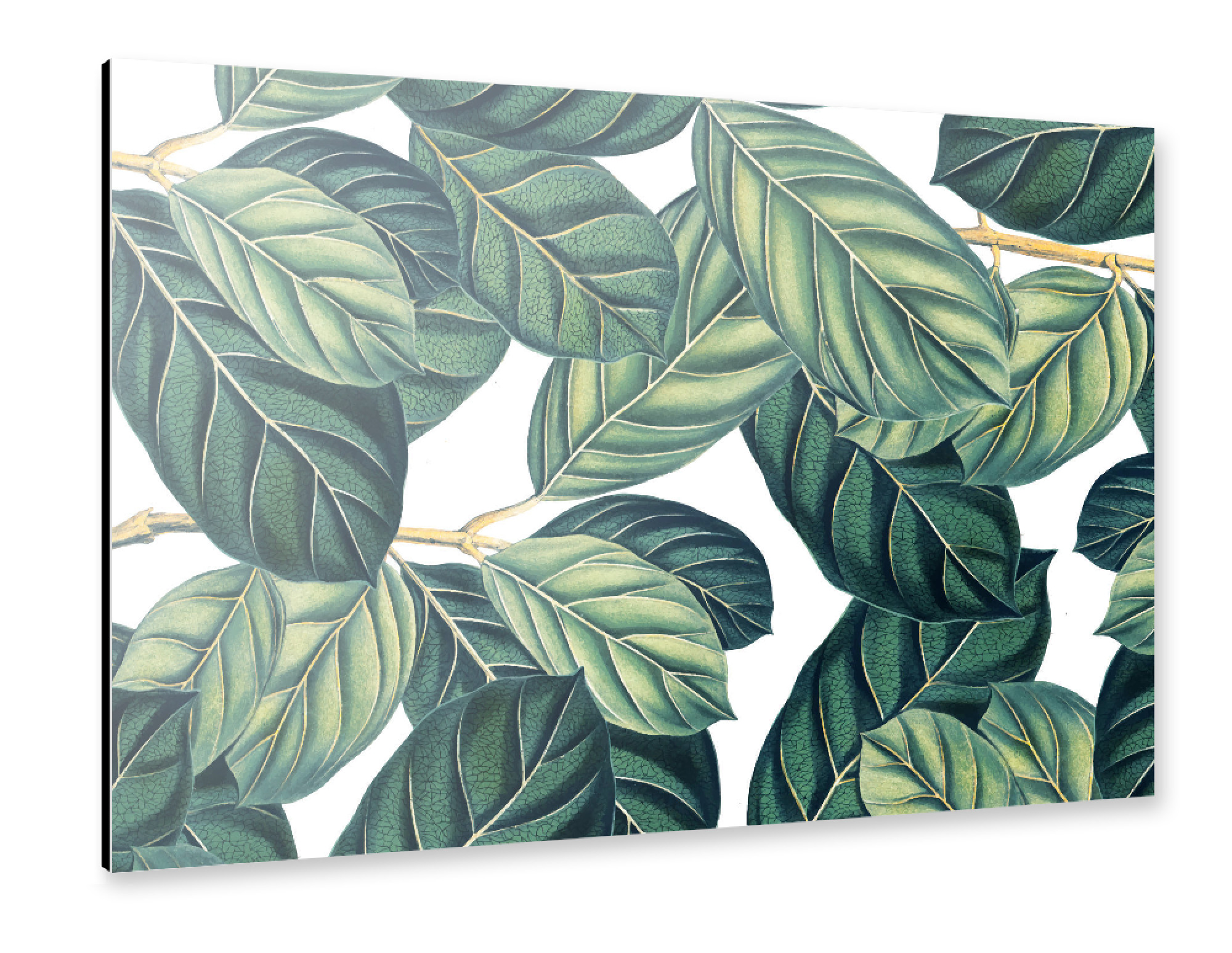 Alu-Dibond "Botany" 75x50 cm artboxONE