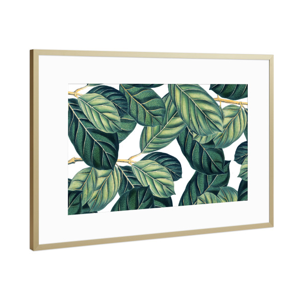 Poster mit Rahmen Gold "Botany" artboxONE - Natur,Festivals - Grafik,Muster,Natur,Botanisch,Botanik,Grün,Exotisch,Tropisch,Blätter